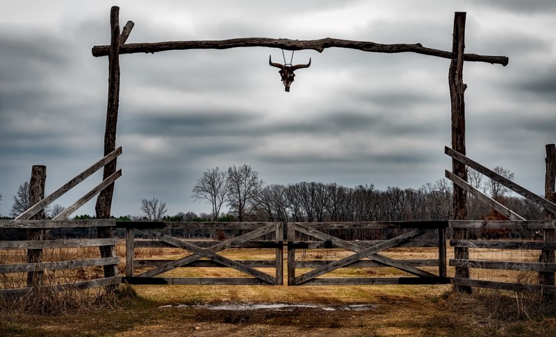 A weathered ranch gate with a longhorn skull under a gray sky